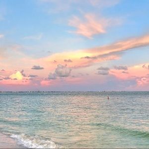 Meet your Posher, Liza